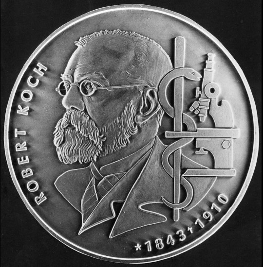 Robert-Koch-Modell