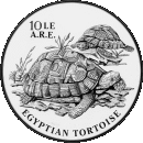 Schildkröten-Münze